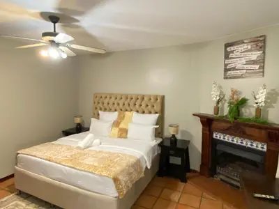 a bedroom with a bed and a fireplace at Kloofyard Guesthouse in Pretoria
