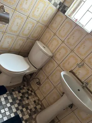 a bathroom with a toilet and a sink at Mary's spacious and homely place in Polokwane
