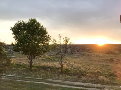 two trees in a field with the sunset in the background at Corner View Accommodation in Kaapsehoop