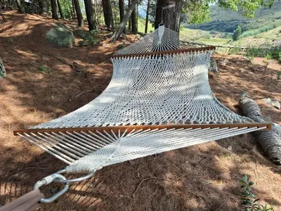 a hammock hanging from a tree in the woods at AmaZeng chalet Wolf in Lydenburg