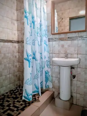 a bathroom with a sink and a shower curtain at Bluesky guest lodge in Pretoria