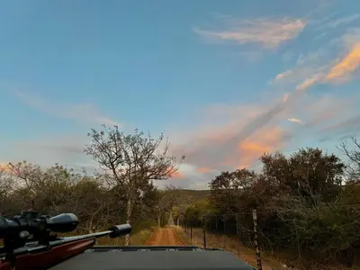 a car driving down a dirt road at Sundara Safaris