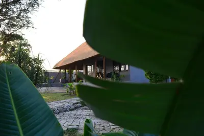 a group of green leaves in front of a building at Emathulini Holiday Home in Hazyview