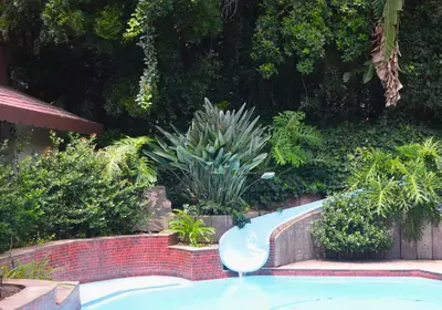 a swimming pool in a garden with plants at Guesthouse Charis in Pretoria