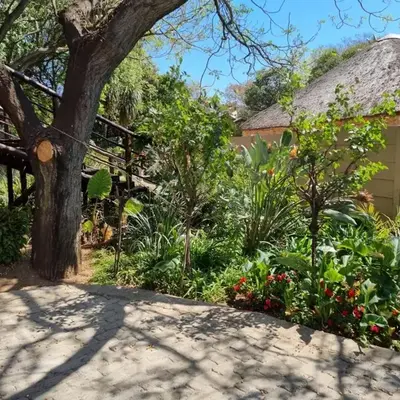 Airport Inn Bed and Breakfast