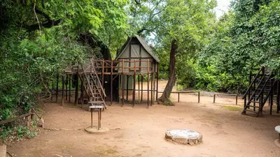 a tree house with a ladder and a tree at Pafuri Accommodation Rivercamp in Tshikuyu