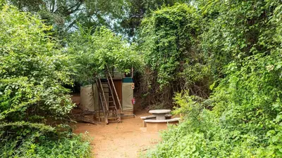 a picnic table and a bench in a forest at Pafuri Accommodation Rivercamp in Tshikuyu