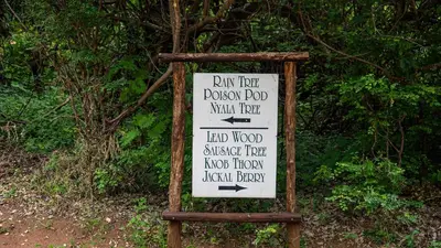a sign that is in front of some trees at Pafuri Accommodation Rivercamp in Tshikuyu