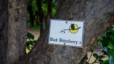 a sign on a tree with a bird on it at Pafuri Accommodation Rivercamp in Tshikuyu