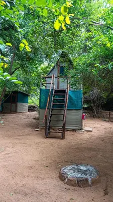 a small house with a ladder and a tree at Pafuri Accommodation Rivercamp in Tshikuyu