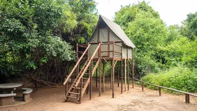 a small tree house with a ladder and a bench at Pafuri Accommodation Rivercamp in Tshikuyu