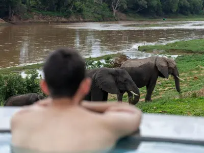 a man in a bath tub looking at elephants in the water at Izakithi River Villa in Malelane