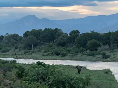 an elephant walking in a field next to a river at Izakithi River Villa in Malelane