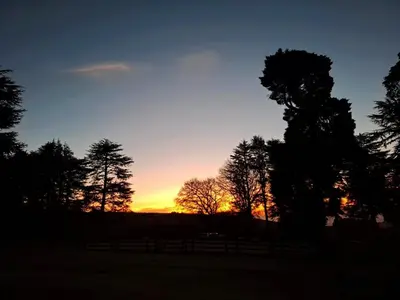 a sunset in a field with trees and a fence at AmaZeng farmhouse Mustang in Lydenburg