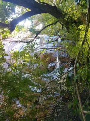 a view of a river in a forest with trees at AmaZeng farmhouse Mustang in Lydenburg