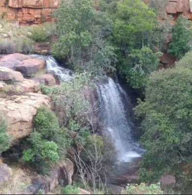 a waterfall on the side of a mountain with trees at AmaZeng farmhouse Mustang in Lydenburg