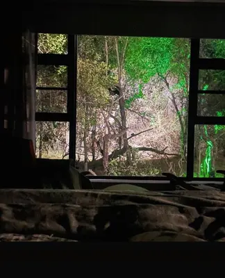 a window in a room with a view of a forest at Kudu House-Solar & Water Backup in Marloth Park