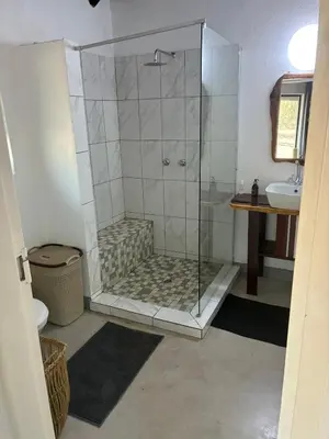a bathroom with a shower and a sink at Giraffe Bush by J & J in Marloth Park