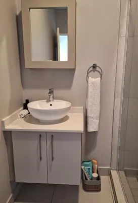 a bathroom with a sink and a mirror and a shower at The Convenient Space in Midrand