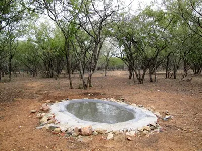 a small pond in the middle of a field with trees at Umvangazi Rest in Marloth Park