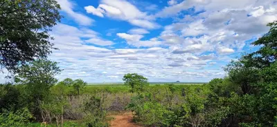 a dirt road in a field with trees and a cloudy sky at Phumula Bushvilla in Phalaborwa