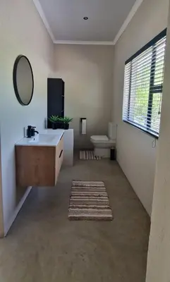 a bathroom with a sink and a mirror and a toilet at Krek Wak Wou Bush Villa in Marloth Park