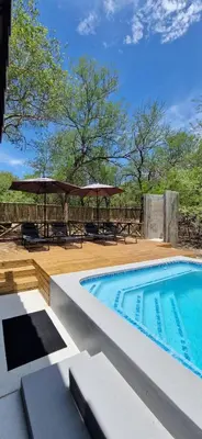 a swimming pool with chairs and umbrellas on a deck at Krek Wak Wou Bush Villa in Marloth Park