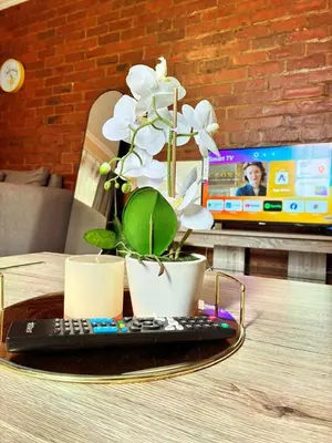 a remote control with a potted plant on a table at Apartment of Convenience-In the heart of Midrand in Midrand
