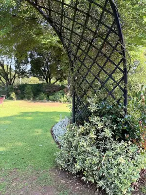 a metal structure sitting on top of a bush at Tambo Touchdown Suites in Benoni