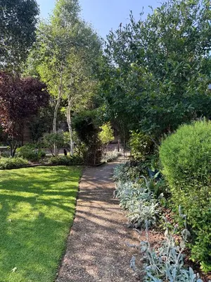 a path through a garden with grass and trees at Tambo Touchdown Suites in Benoni
