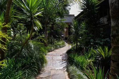 a path through a garden with palm trees at Eagle Rock Executive Guest House in Kempton Park
