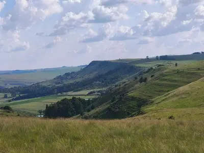 a view of a green hill with trees on it at Shalom Mountain & Fly-Fishing Lodge in Dullstroom