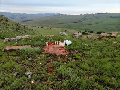 a field of grass with flowers in the grass at Shalom Mountain & Fly-Fishing Lodge in Dullstroom