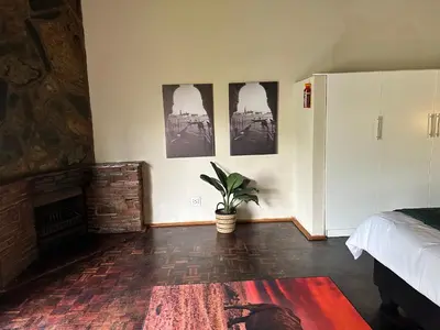 a bedroom with a fireplace and a bed and a plant at Palm View in White River