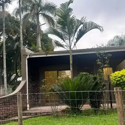 Palm View