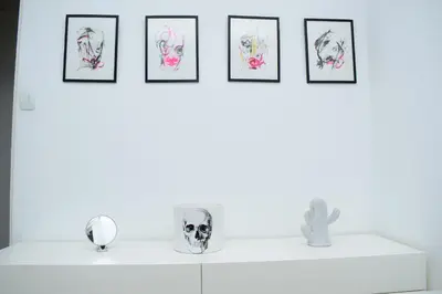 a row of framed drawings of skulls on a white shelf at Luxury Stay at The 28 Pecanwood in Hartbeespoort