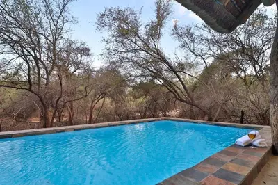 a blue swimming pool with trees in the background at Lodana -next to Crocodile River in Marloth Park