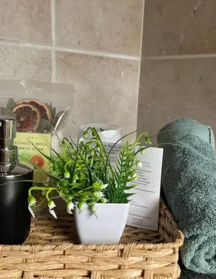 a basket with a potted plant on top of it at Oasis Nest in Pretoria