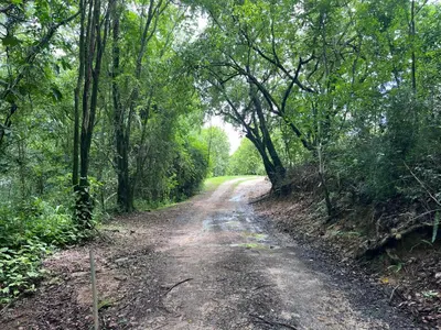 a dirt road in the middle of a forest at Nut Tree Nook in Hazyview