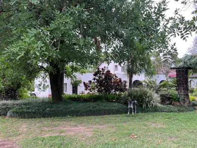 a dog standing in the grass in front of a house at Nut Tree Nook in Hazyview