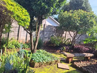 a garden with a bench and some plants and trees at 270 Foutains Avenue, Centurion, Lyttelton Manor in Centurion