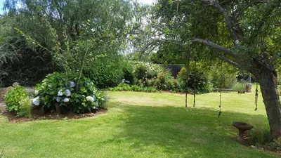 a garden with a tree and flowers in the grass at Cottage Suikerbekkie in Dullstroom