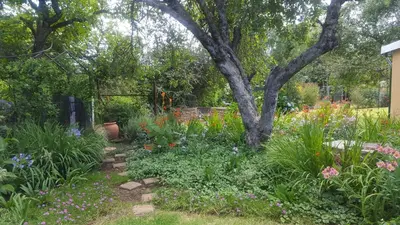 a garden with colorful flowers and a tree at Cottage Suikerbekkie in Dullstroom