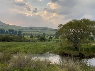 a river in the middle of a field with a tree at Willow Weir River Cottage in Dullstroom