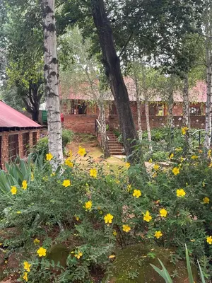 a garden with yellow flowers in front of a building at Critchley Hackle - Deluxe garden units in Dullstroom