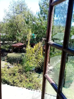 a view of a garden from a window at Mountain Haven Kaapsehoop in Kaapsehoop
