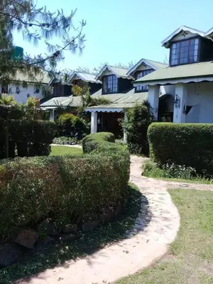a house with bushes in front of a house at Mountain Haven Kaapsehoop in Kaapsehoop