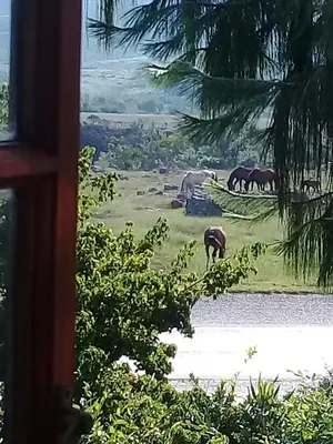 a painting of horses grazing in a field at Mountain Haven Kaapsehoop in Kaapsehoop