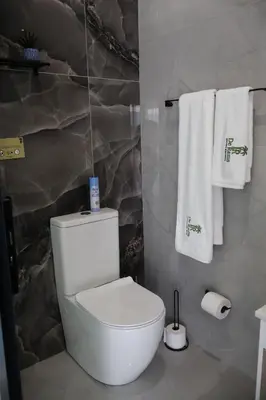 a bathroom with a white toilet and towels at De Rams boutique guest house