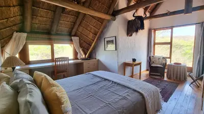 a bedroom with a bed in a room with windows at Tholo Bush Stay